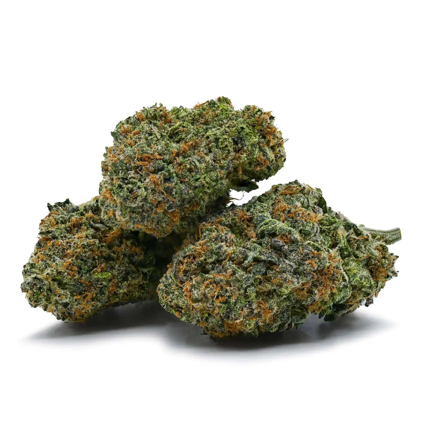 King Tut | Sativa Hybrid *oz only*