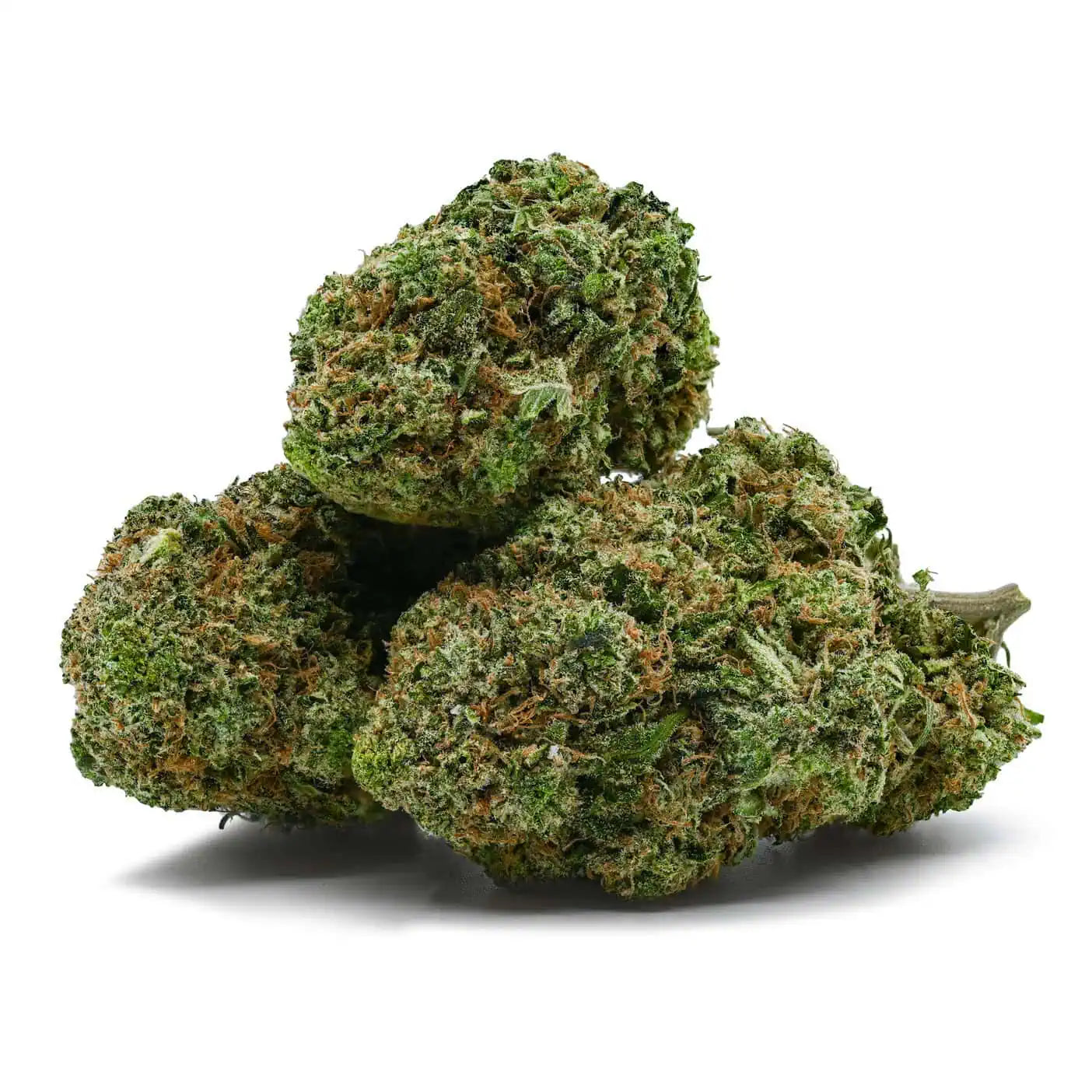 Tangie | = Hybrid