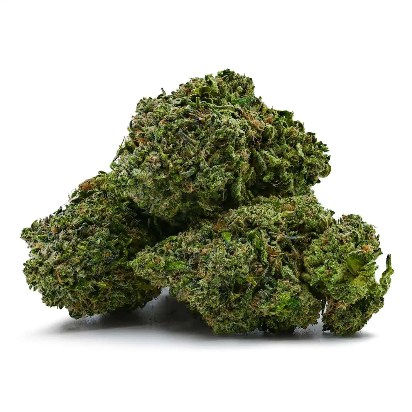 Skywalker OG | Indica Hybrid