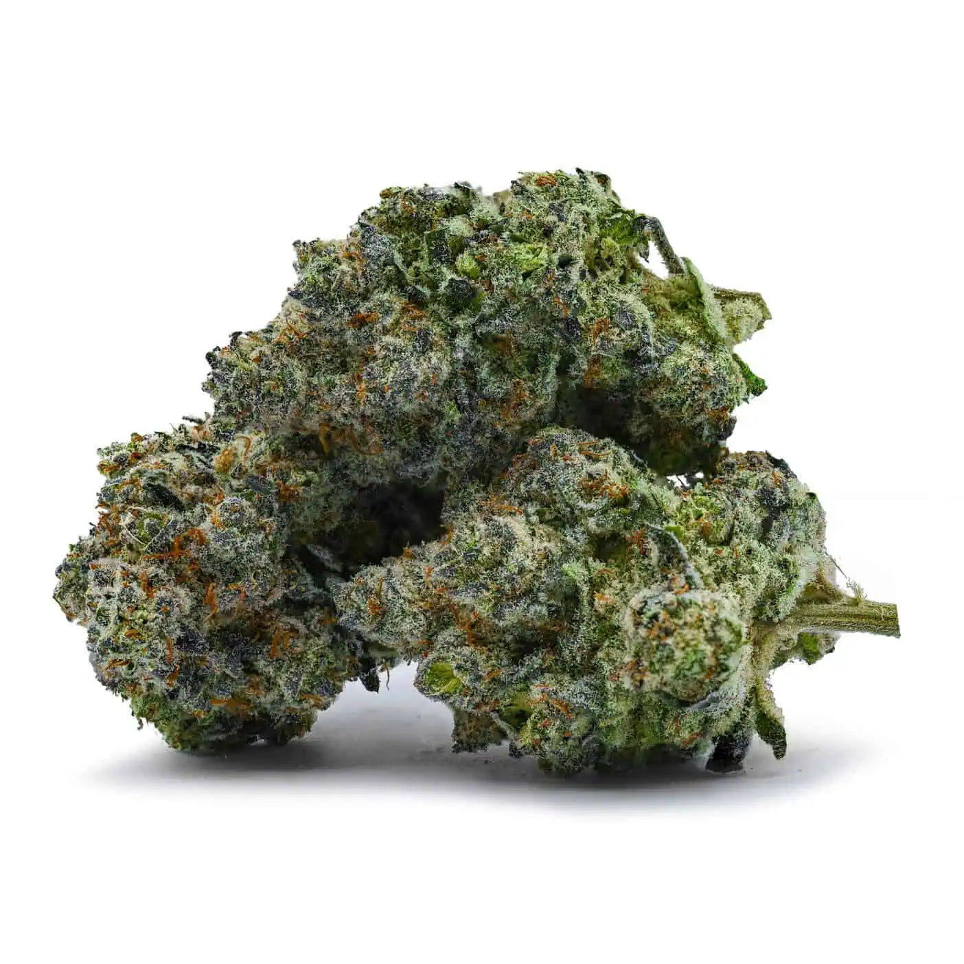 Blueberry Donuts | Indica Hybrid